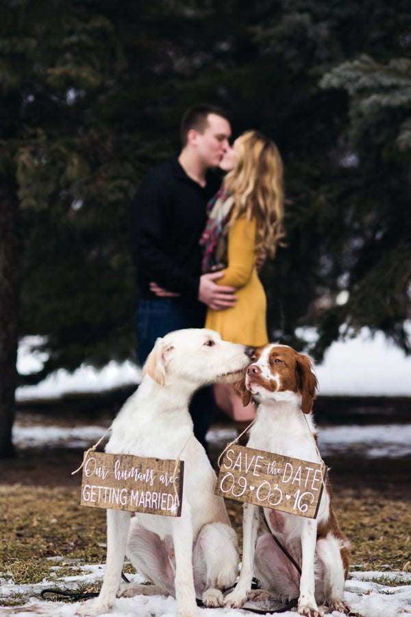 19 Adorable Doggie SaveTheDates For When You're Having A Ruff Day