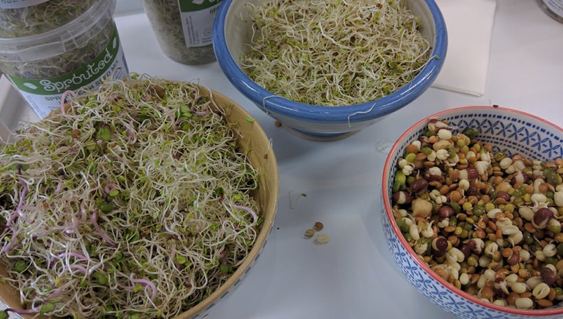 Fresh bean sprouts are full of nutrients