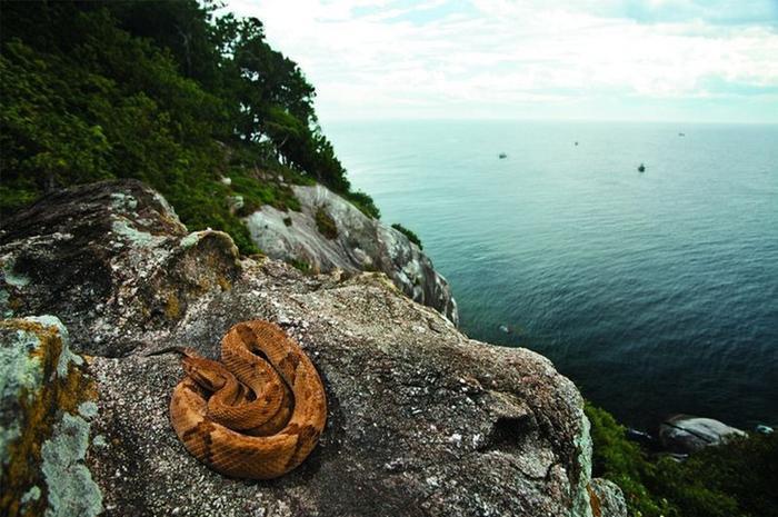  Ilha da Queimada, Brazil 