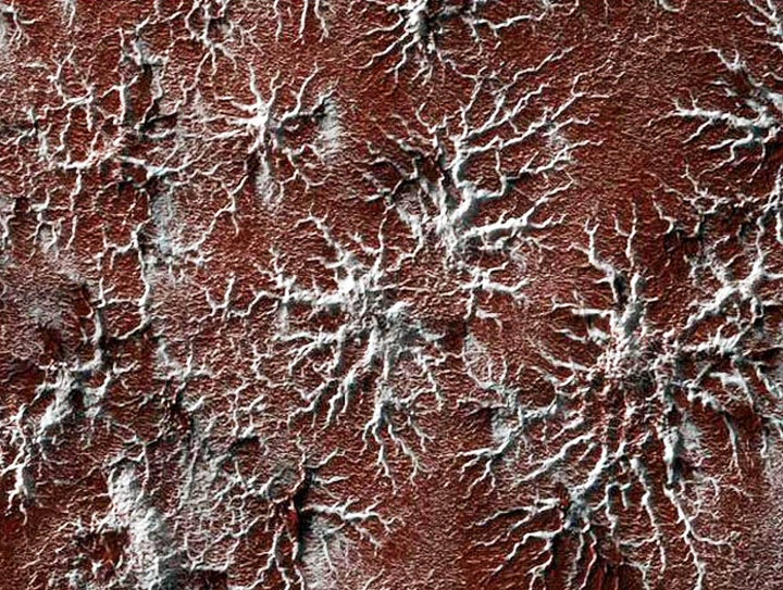 Another image from Mars’ south polar region showing spider shapes that may have been formed by frozen carbon dioxide.