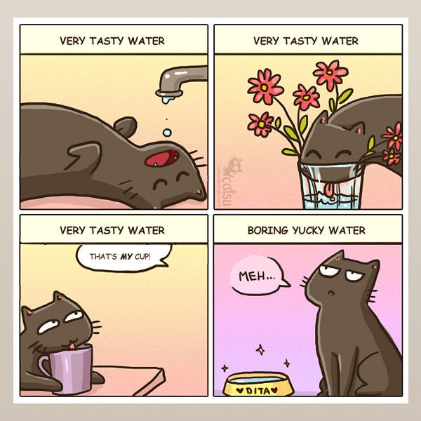 11 Comics That Perfectly Sum Up The Wonderfully Weird Ways Of Cats