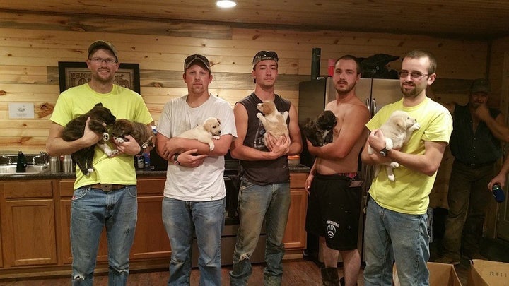 Logan Wolf, Alex Manchester, Brent Witters, Mitchell Craddock and Dave Perkins hold puppies found in the woods at Craddock's bachelor party.