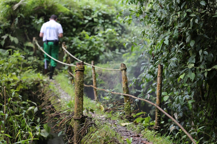 There is nothing quite so magical as seeing Colombia’s natural green beauty working in harmony with humanity