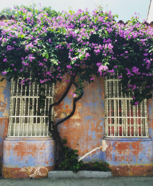 Cartagena, Colombia: the rumored location of Gabriel Garcia Márquez’s “Love In The Time Of Cholera”