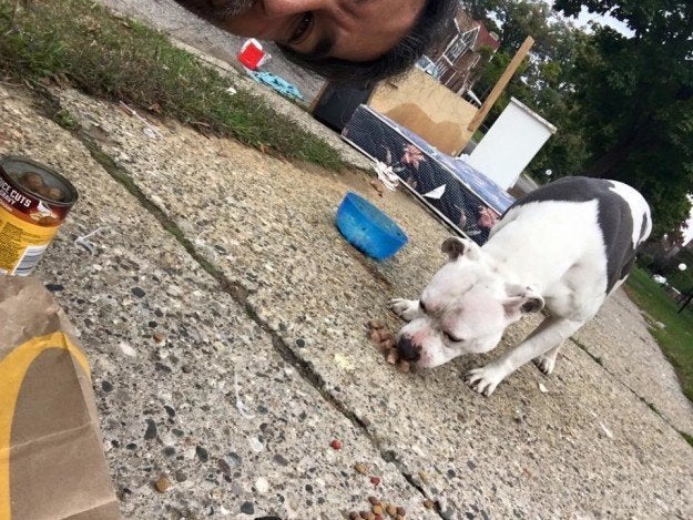 Boo enjoying some grub.