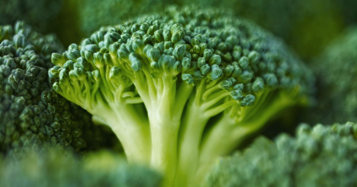 How This Broccoli Enzyme Can Slow Aging HuffPost Post 50