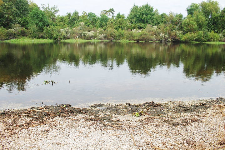 The location in LaPlace, Louisiana, where Sharon Robinson's body was found face-down in shallow water.