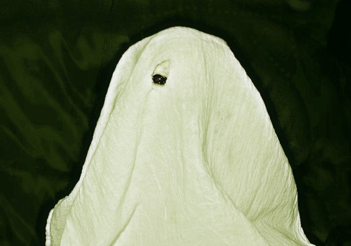 <p>Boooo! The best costume for a one-eyed Chihuahua! </p>
