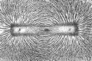 ‘The Magnetic Field’ as noted by Dr. Quantum