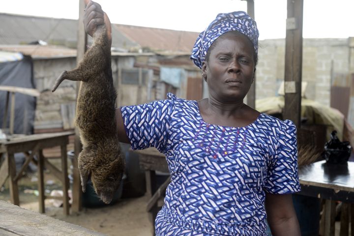 A bushmeat seller holds fresh bushmeat at a market in Lagos, Nigeria in at the Ajegunle-Ikorodu market in Lagos on August 13, 2014. 