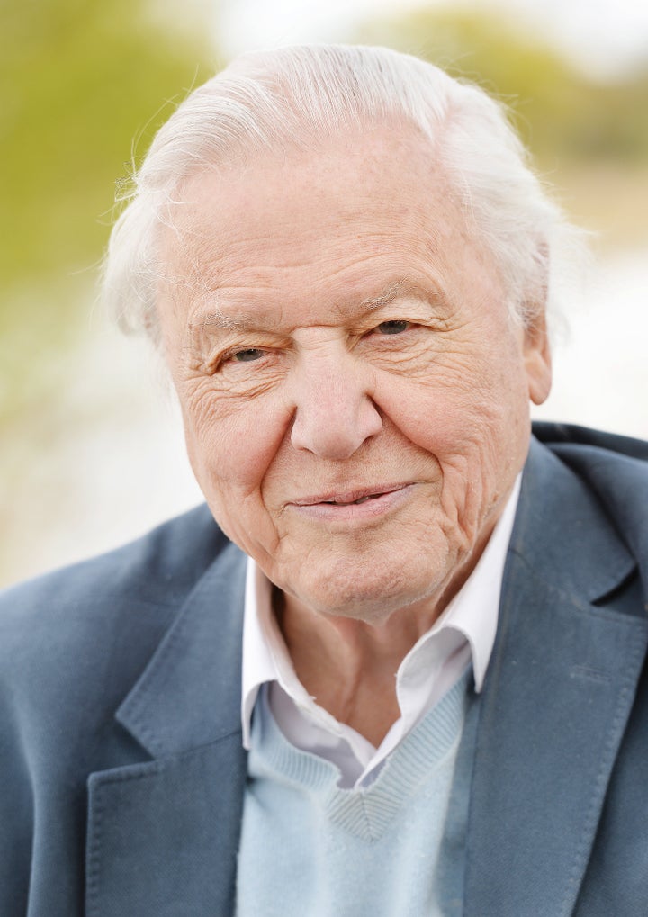 <strong>Sir David Attenborough </strong>