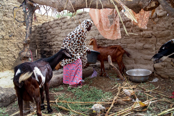 Ramatou has been facing mounting pressure to marry. In Niger, 76 percent of girls wed before turning 18.