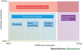 This chart presents a visualization of different types of thinking, including variations of spontaneous thought.