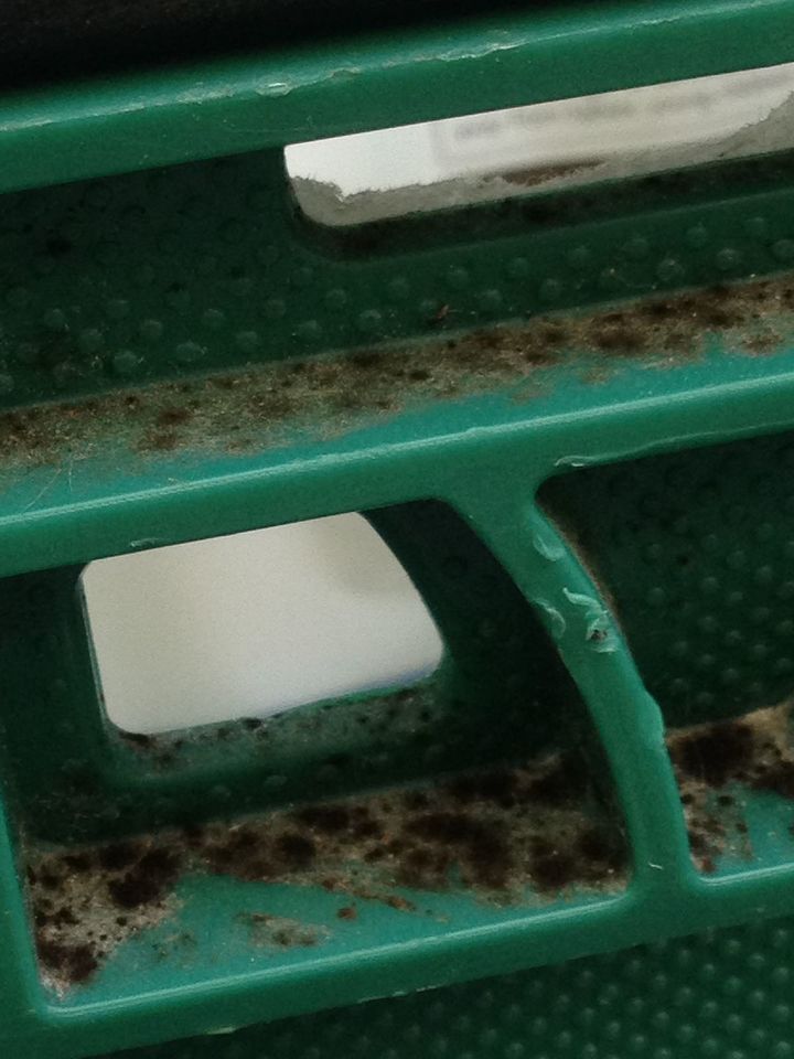 <strong>The extent of mould on one Asda delivery crate</strong>