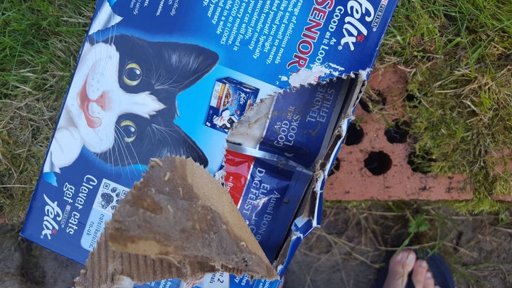 <strong>Maggots were found by one Asda customer in their order of cat food</strong>