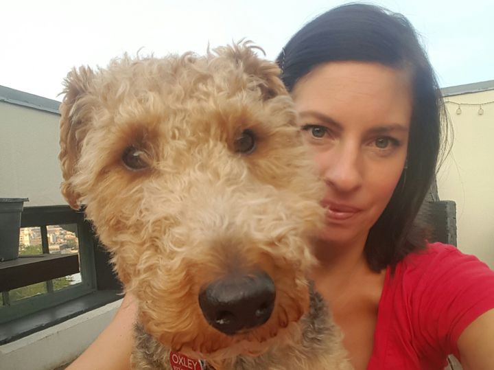 I am grateful for the love of this little guy, Oxley the Welsh Terrier, who is my little writing and cuddle buddy.