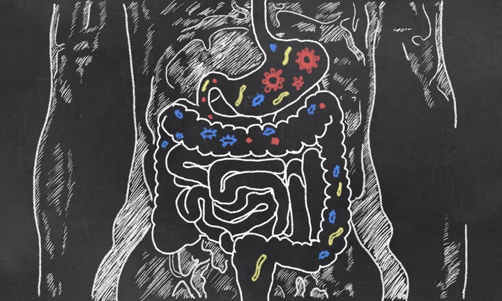 Scientists are looking to gut bacteria to improve mood and cognition. 