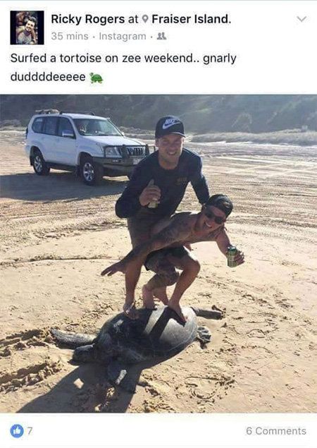 “These guys are just complete idiots," an RSPCA spokesman said. Most people probably agree. It's unclear if Ricky Rogers, who posted the photo, is one of the men in the image.