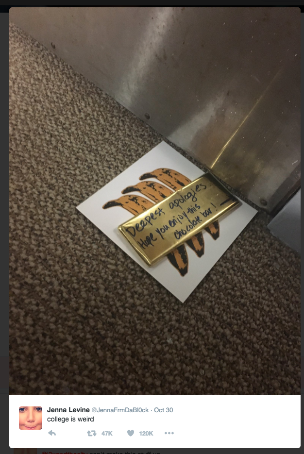 <strong>The student quickly received a message back from her neighbours </strong>