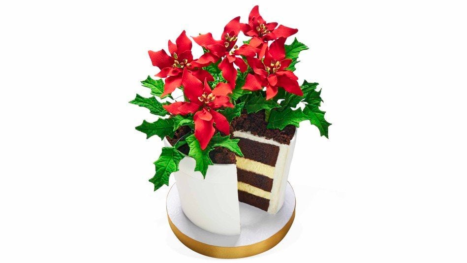 Oprah’s Poinsettia Flower Pot Cake