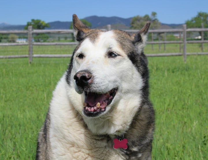 Lolo at 15 years old