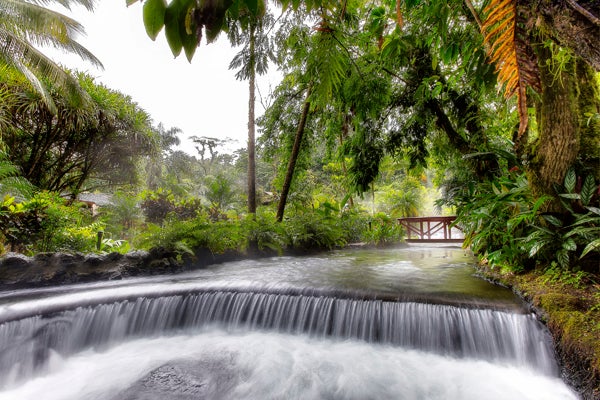 <p><strong>Tropical Hot Springs Wedding at Tabacón Thermal Resort & Spa in Arenal, Costa Rica: </strong>At this inordinately luxe property, you’ll be tucked away beside the base of the Arenal Volcano. Say “I do” with the scenery set by unbelievable thermal mineral springs and cascading waterfalls. The natural steam that rises from the hot springs, coupled with the indigenous plants and wildlife, makes for a wedding worthy of a fairy tale. Come evening, tuck yourself into the warm embrace of one of the hotel’s rooms with volcano views as chirping birds and howling monkeys welcome you as newlyweds.</p>