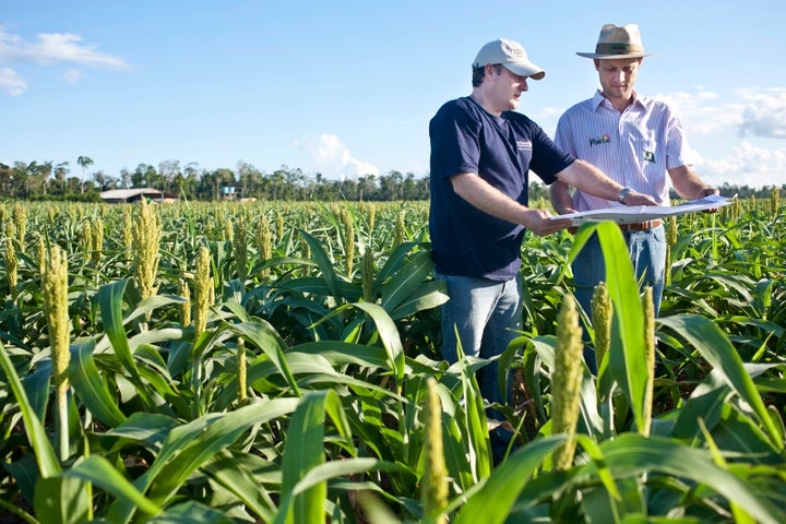 Sustainable agriculture practices can reduce emissions of nitrous oxide--a more potent greenhouse gas than carbon dioxide. © Rafael Araujo 