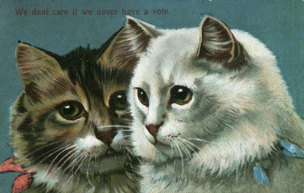 Cat meme circa early 1900s. 