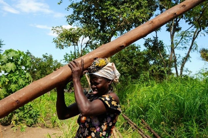 A South Sudanese refugee carries a pole she can use to build shelter on her plot at Maaji refugee settlement.