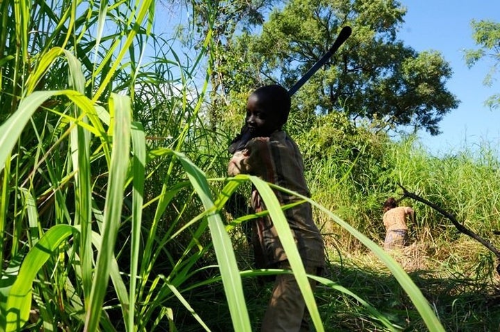 Nine-year-old John Ajugo helps his mother and aunt to clear the brush from their newly allocated plot at the Maaji refugee settlement.