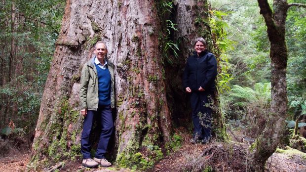 <p>Dr Bob Brown and Jenny Weber, of the Bob Brown Foundation, in the Tarkine, Tasmania.</p>