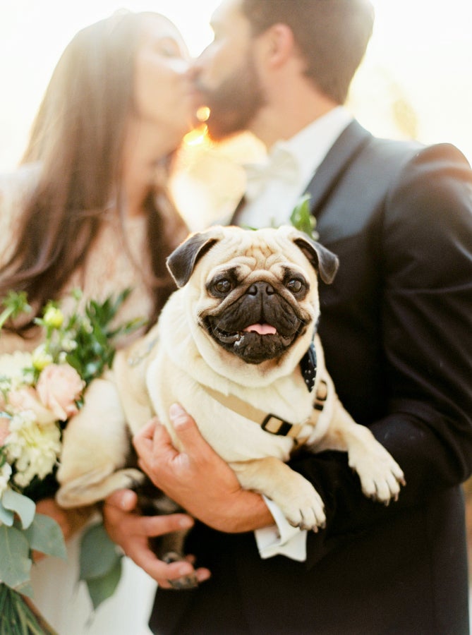 <p><a href="http://www.stylemepretty.com/vault/gallery/61186" target="_blank" role="link" rel="nofollow" class=" js-entry-link cet-external-link" data-vars-item-name="http://www.stylemepretty.com/vault/gallery/61186" data-vars-item-type="text" data-vars-unit-name="581bc6b1e4b044f827a78aa8" data-vars-unit-type="buzz_body" data-vars-target-content-id="http://www.stylemepretty.com/vault/gallery/61186" data-vars-target-content-type="url" data-vars-type="web_external_link" data-vars-subunit-name="article_body" data-vars-subunit-type="component" data-vars-position-in-subunit="9">http://www.stylemepretty.com/vault/gallery/61186</a></p>