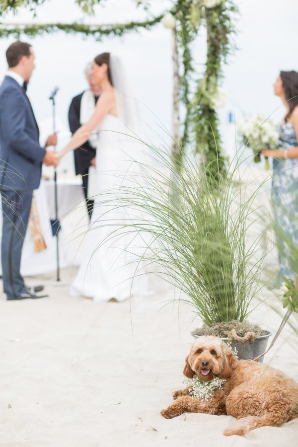 <p><a href="http://www.stylemepretty.com/vault/gallery/39282" target="_blank" role="link" rel="nofollow" class=" js-entry-link cet-external-link" data-vars-item-name="http://www.stylemepretty.com/vault/gallery/39282" data-vars-item-type="text" data-vars-unit-name="581bc6b1e4b044f827a78aa8" data-vars-unit-type="buzz_body" data-vars-target-content-id="http://www.stylemepretty.com/vault/gallery/39282" data-vars-target-content-type="url" data-vars-type="web_external_link" data-vars-subunit-name="article_body" data-vars-subunit-type="component" data-vars-position-in-subunit="14">http://www.stylemepretty.com/vault/gallery/39282</a></p>
