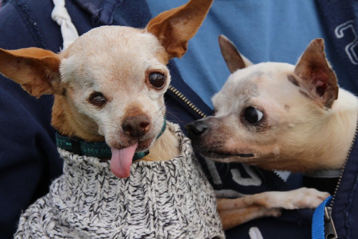 Fernando (left) and his friend London (right), both 12 years old