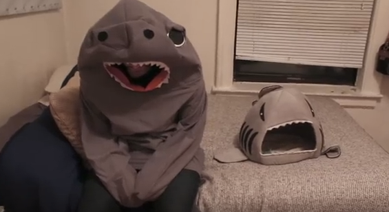 Man Dresses Up Like Cat S Favorite Toy And It Does Not Go