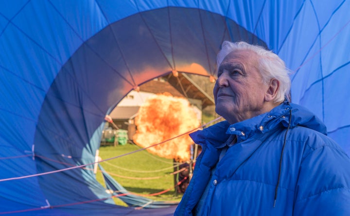<strong>Sir David says, in his 91st year, he has no intention of sitting down</strong>