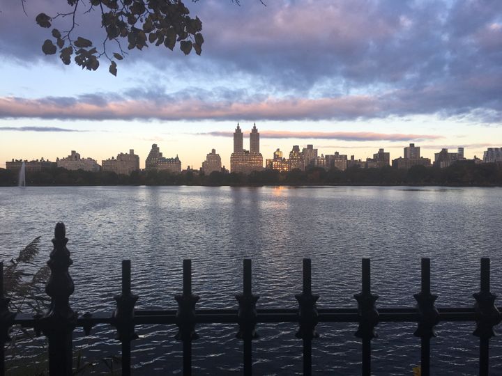 Central Park at dawn