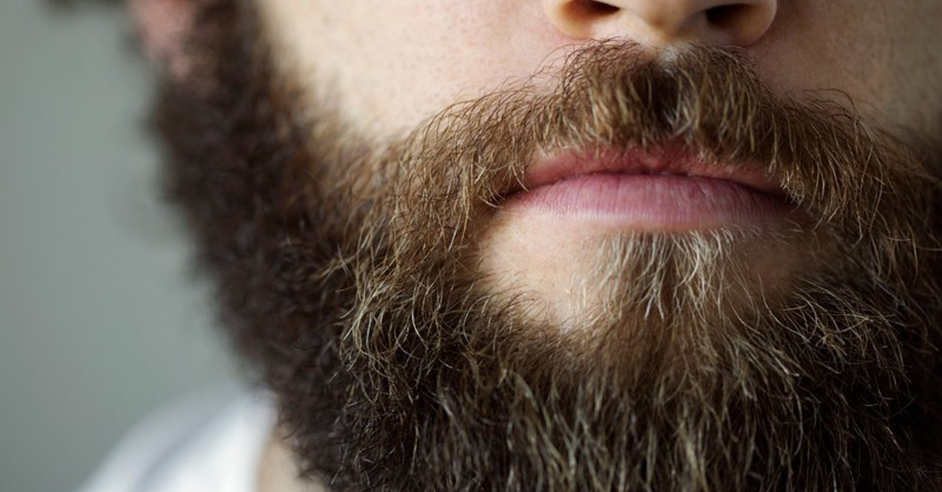 victors beard essay victors beard essay