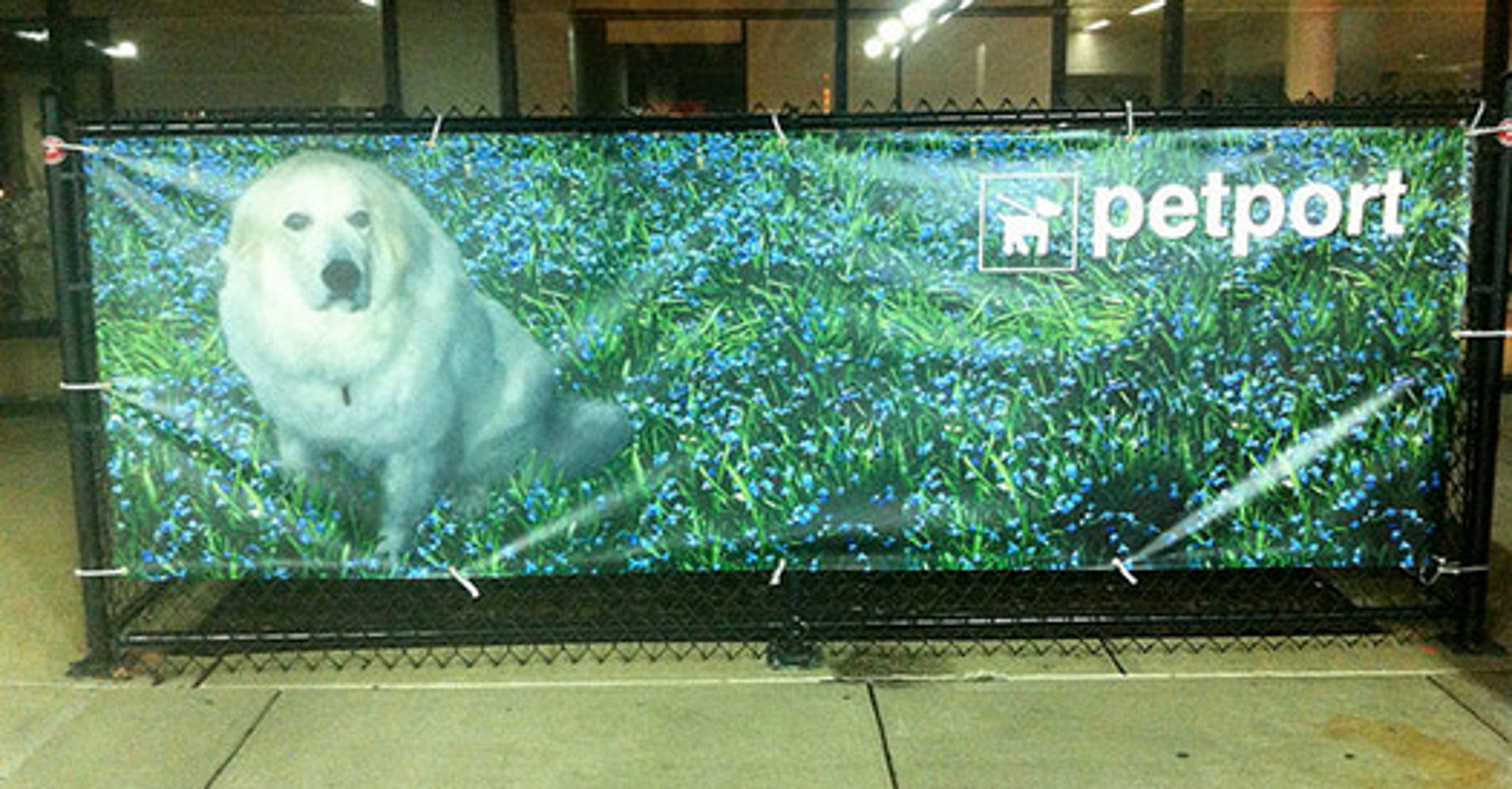 A guide to interminal airport pet relief stations HuffPost