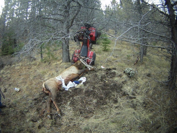 An Oregon man was seriously injured Saturday when he impaled himself on the antler of an elk he'd just killed.