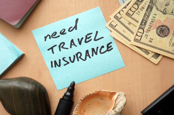 <p> <strong>Buy travel insurance</strong> </p>