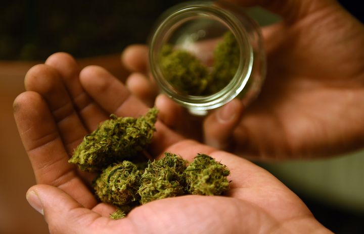 Voters in eight out of nine states that went to the polls on the issue of marijuana reform voted to roll back longstanding restrictions on the drug.