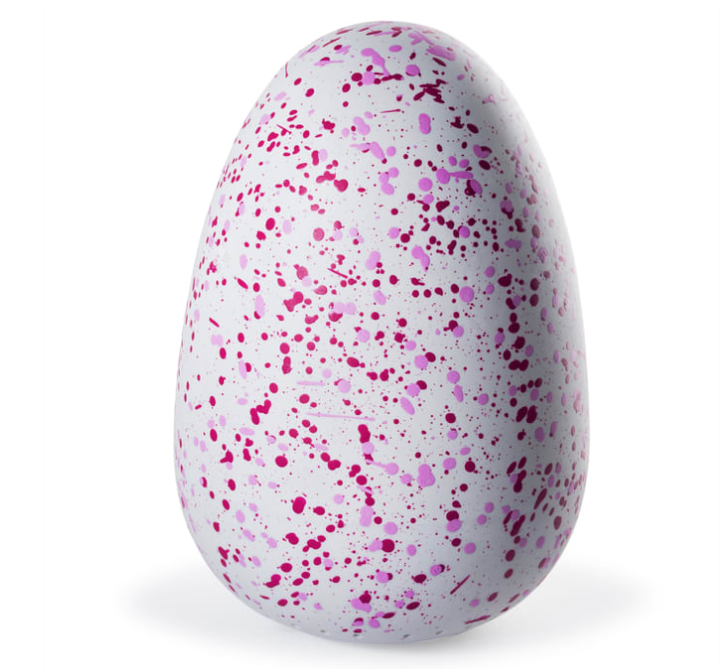 'Hatchimals' is one of the most popular toys for kids this year.