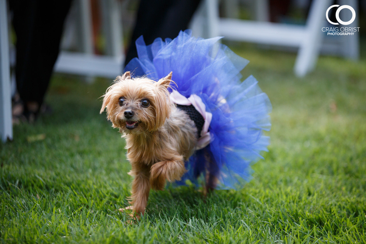 dog flower girl ideas