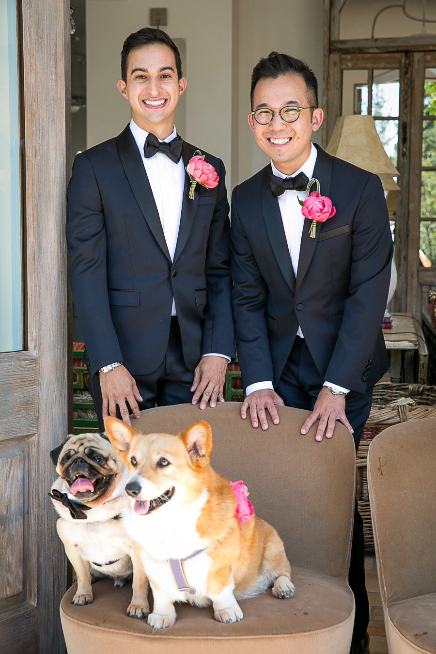 dog flower girl ideas