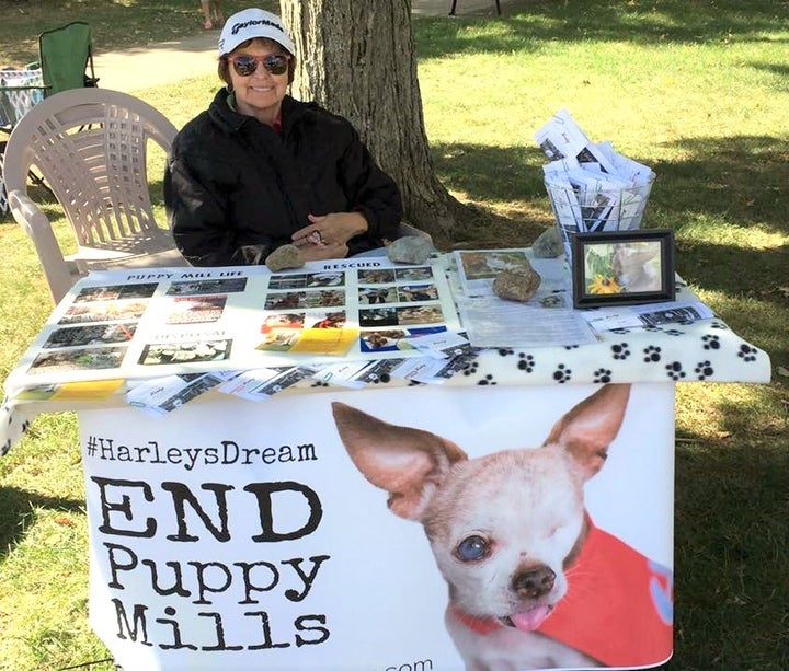 Harley’s Hero, Carole Matthew, spreading the message about puppy mills.