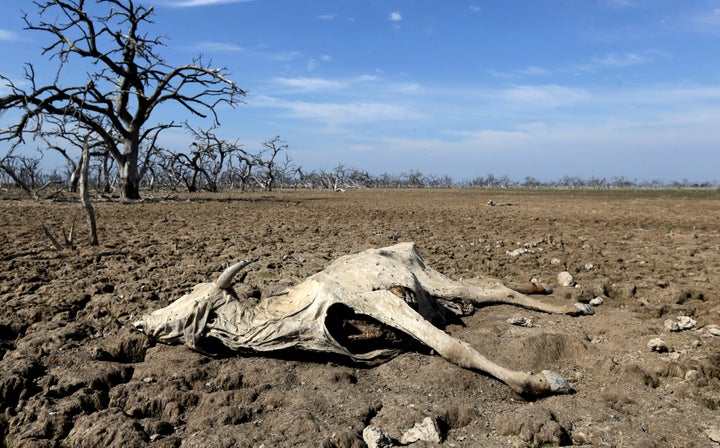 The Pilcomayo river in central South America faced its worst drought in almost two decades this year. As global temperat