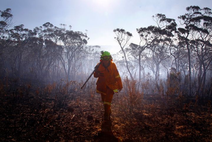 The area near the town of Blackheath in the Blue Mountains range, near Sydney, was left charred in October 2013. The Australian state of New South Wales declared a state of emergency as temperatures rose and wildfires raged.