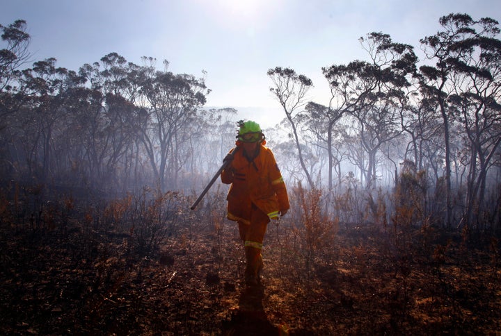 The area near the town of Blackheath in the Blue Mountains range, near Sydney, was left charred in October 2013. The Australian state of New South Wales declared a state of emergency as temperatures rose and wildfires raged.