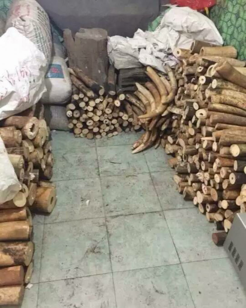 Ivory Stockpile